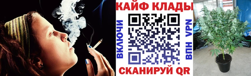 Как найти наркотики Октябрьск Гашиш Конопля A PVP МДМА COCAIN МЕФ Псилоцибиновые грибы