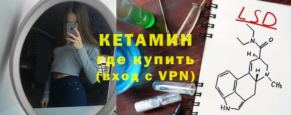 хмурый Аркадак