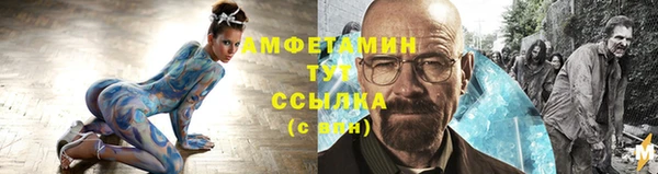 хмурый Аркадак