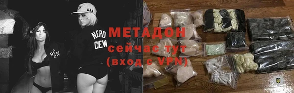 хмурый Аркадак