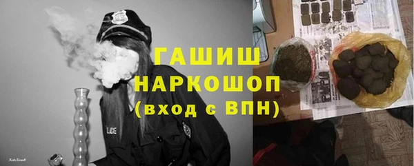 хмурый Аркадак