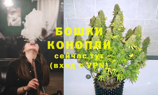 хмурый Аркадак