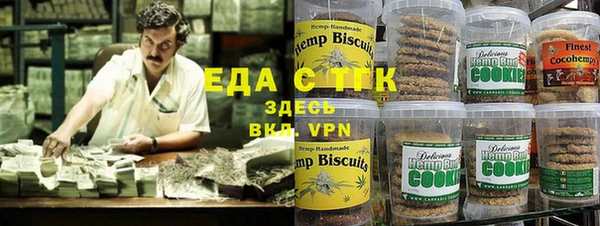 хмурый Аркадак