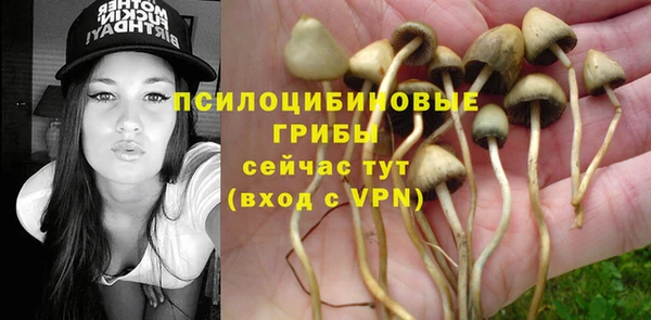 СК Семилуки