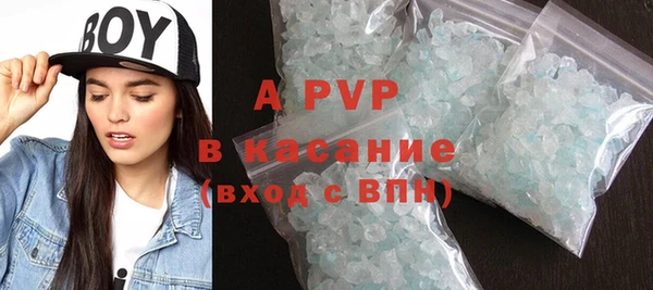 хмурый Аркадак