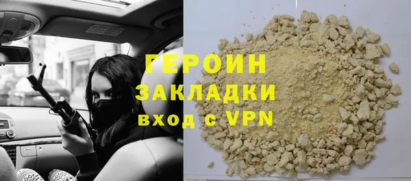 хмурый Аркадак