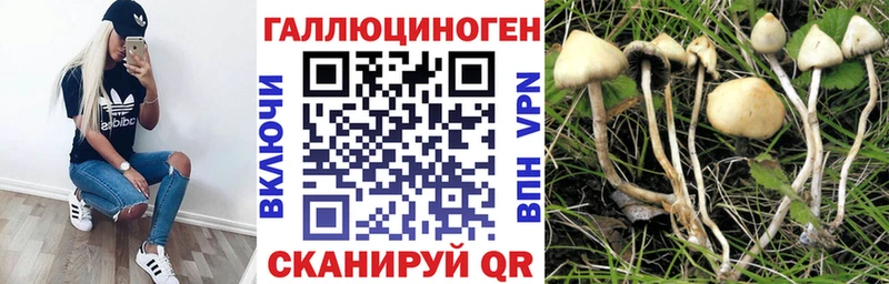 Псилоцибиновые грибы MAGIC MUSHROOMS  где купить наркоту  Октябрьск 