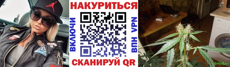 Конопля план  где найти   Октябрьск 